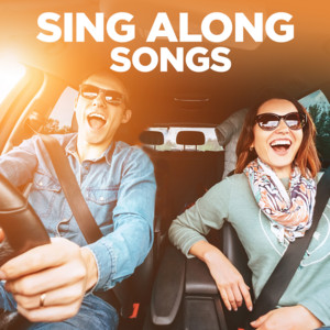 Sing Along Songs Vol.1 (CLICK HERE FOR TRACK LIST) (100 Edits)
