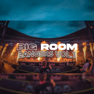 Big Room Bangers Vol.1 (CLICK HERE FOR TRACK LIST) (236 Edits)